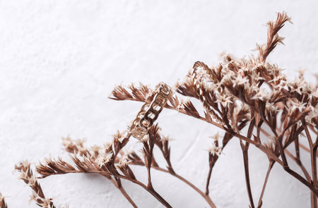 Gold ring with dry grass on a white concrete background. Jewelry store, beauty conceptの写真素材