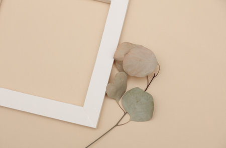 Minimalistic aesthetic still life with white blank frame and dry grass on beige background