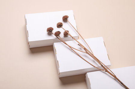 Mockup of White cardboard boxes for product presentation and dry grass on beige background. Creative layoutの写真素材