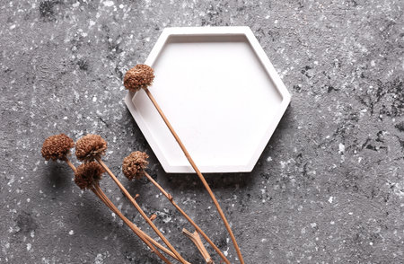 Plaster tray on gray concrete background with dry grass. Creative layoutの写真素材
