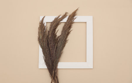 Minimalistic aesthetic still life with white blank frame and dry grass on beige backgroundの写真素材