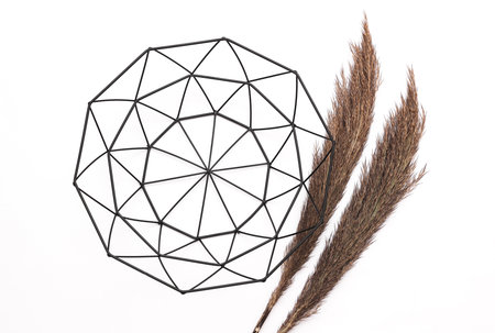Black metal bowl with dry grass on white background
