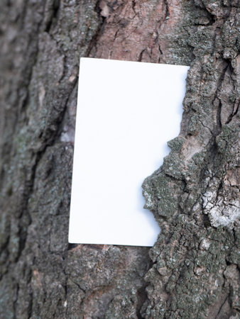 White blank business card on natural wood bark close upの写真素材