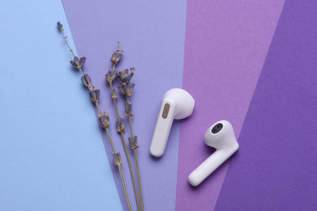 White wireless bluetooth earbuds with dry lavender flowers on purple background. Top view