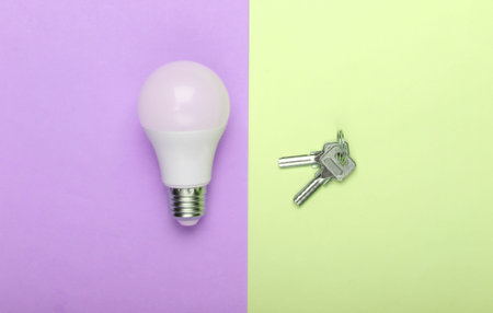 Energy saving concept. Keys and energy-saving light bulb on pastel background. Top view