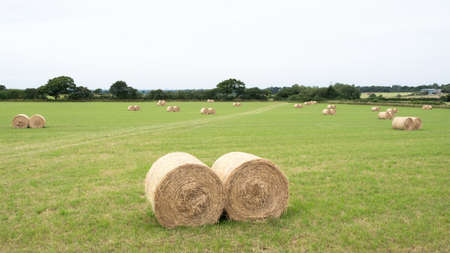 Straw bales in meadow, United KIngdomの写真素材