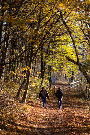 Salzburg, Austria - November 2020: People walking in the forest in autumn on a sunny day. Colorful red, orange and yellow foliageのeditorial素材