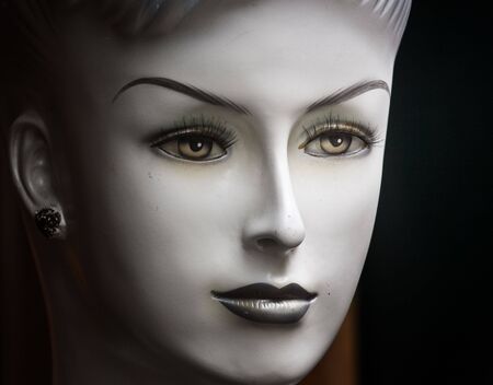 Shop window dollの写真素材