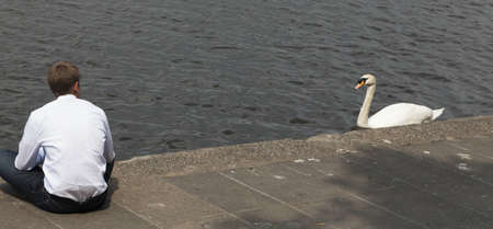 Man and swan on waterの写真素材