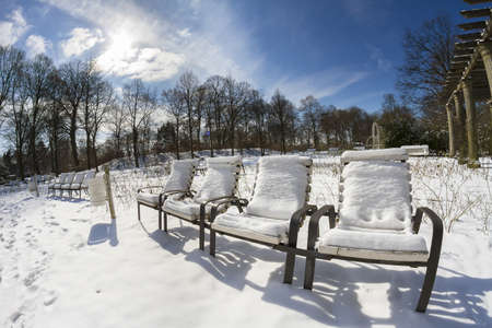 Winter in the Parkの写真素材