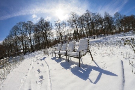 Winter in the Parkの写真素材