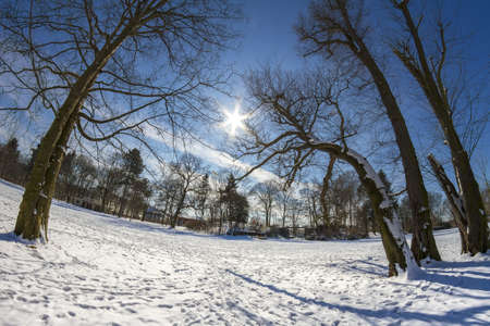 Winter in the Parkの写真素材