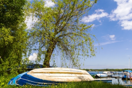 at the lakeの写真素材