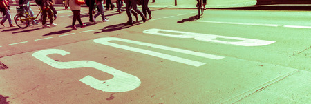 Lane for busesの写真素材