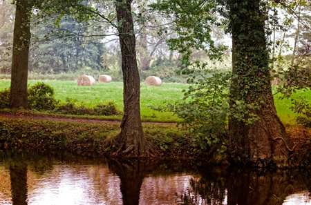 Landscapeの写真素材