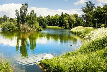 small lakeの写真素材