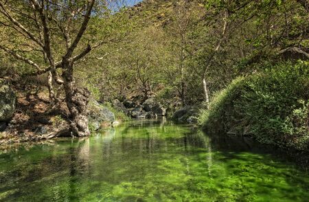 small lakeの写真素材