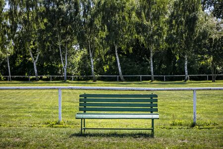 wooden bench in the park