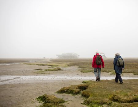 Fog on the beach