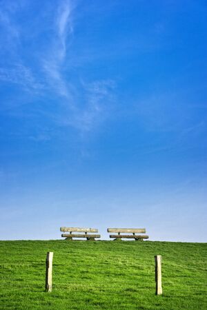 on a meadowの写真素材