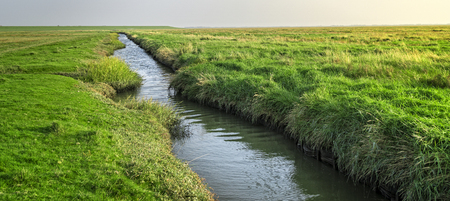 River in the Wadden Sea on the North Sea