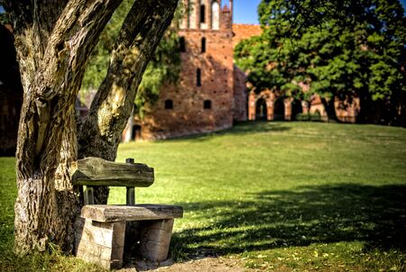 Wooden bench in the parkの写真素材