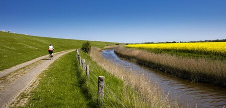 River in the lowlands
