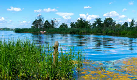 small lake with bio stop in the state of Brandenburgの写真素材