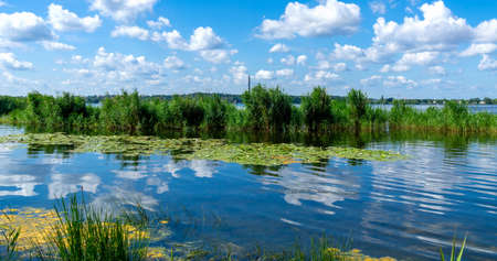 small lake with bio stop in the state of Brandenburgの写真素材