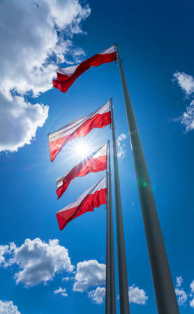 Polish country flags against a blue skyの写真素材