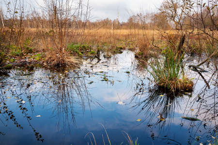 Elbe landscape at high waterの写真素材