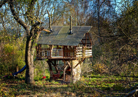 Tree house in the gardenの写真素材