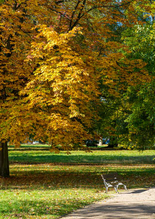 Autumn in the spa gardens of Bad Homburgの写真素材