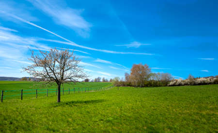Landscape and nature in Hessen and around Frankfurt am Mainの写真素材