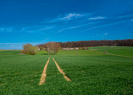 Landscape and nature in Hessen and around Frankfurt am Mainの写真素材