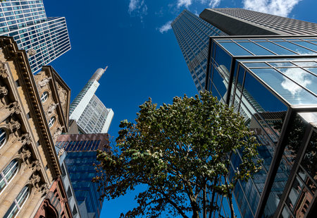 High-rise buildings, bank headquarters and shopping centers in the Hessen metropolis of Frankfurt am Mainのeditorial素材