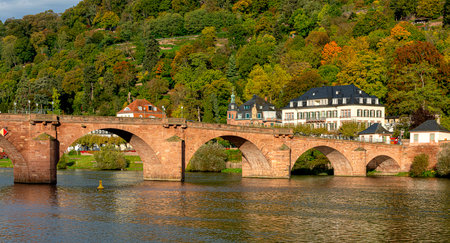 Heidelberg with the Old Bridge and villas on the Neckar, Baden-WÃ¼rttemberg, Germanyのeditorial素材