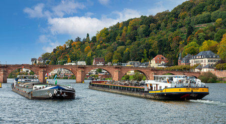 Heidelberg with the Old Bridge and villas on the Neckar, Baden-WÃ¼rttemberg, Germanyのeditorial素材