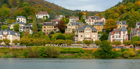Villas and historic houses on the Neckar in Heidelbergの写真素材