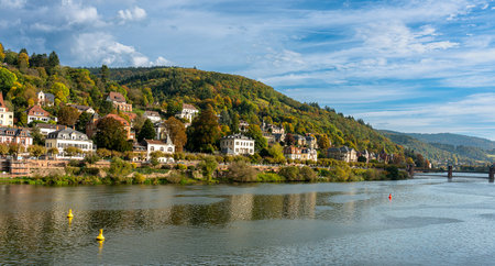 Villas and historic houses on the Neckar in Heidelbergの写真素材