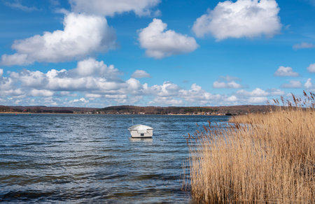 small rowing boat in the reeds on Lake Sellinの写真素材