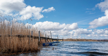 small rowing boat in the reeds on Lake Sellinの写真素材