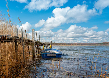 small rowing boat in the reeds on Lake Sellinの写真素材