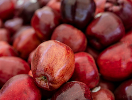Apples at a market stall on the premises of the Spargelhof in Klaistow, Brandenburg,の写真素材