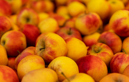 Apples at a market stall on the premises of the Spargelhof in Klaistow, Brandenburg,のeditorial素材