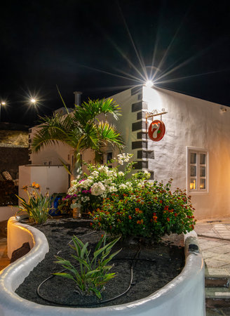 Flower bed in front of a bar, Lanzarote, Canary Islands, Spainのeditorial素材
