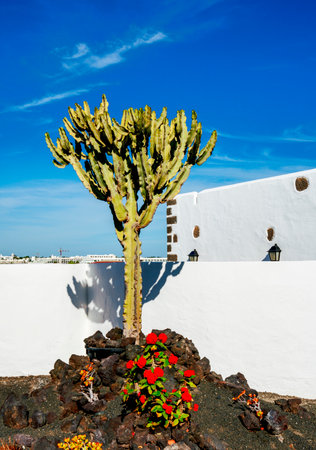 Cactus in a rockery, Lanazrote, Canary Islands, Spainのeditorial素材
