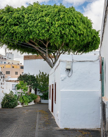 Villas and houses in Lanzarote, Canary Islands, Spainのeditorial素材