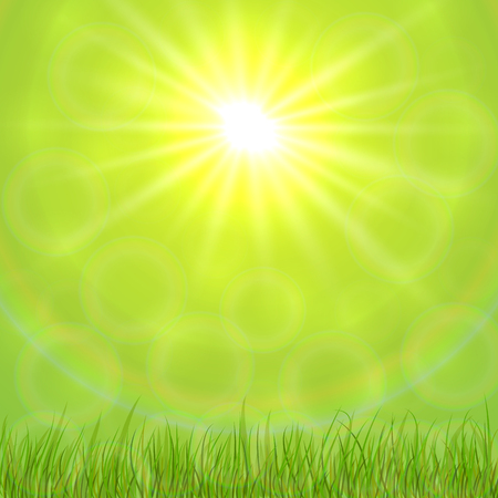 Vector Abstract Spring Background with Sun Light and Grassのイラスト素材