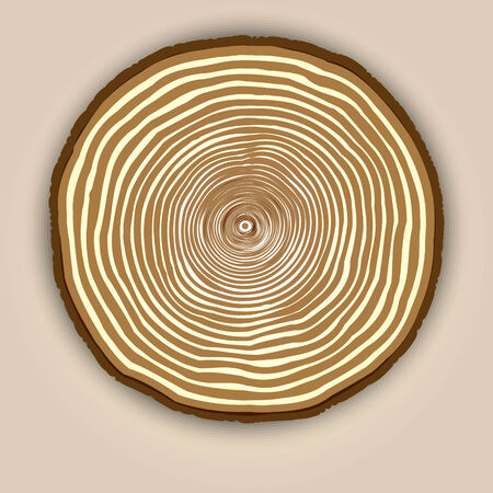 Vector wood texture abstract background with beige tree ringsのイラスト素材